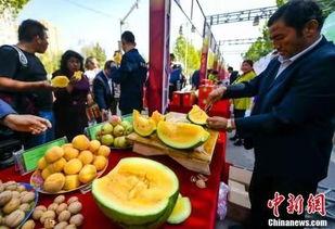 吃瓜最新事件爆料开封,吃瓜群众揭秘最新事件内幕